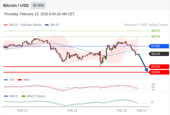btcusdusd250213084854.gif