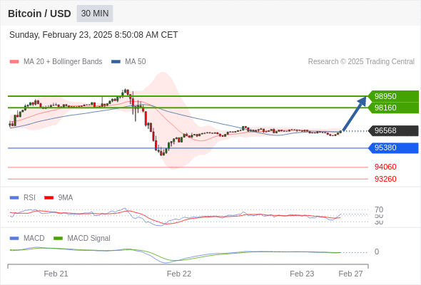 btcusdusd250223084835.gif