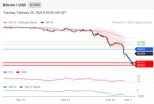 btcusdusd250225084835.gif