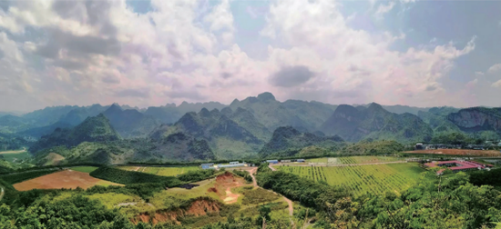 ▲生态修复后的贵州锦丰（烂泥沟）金矿