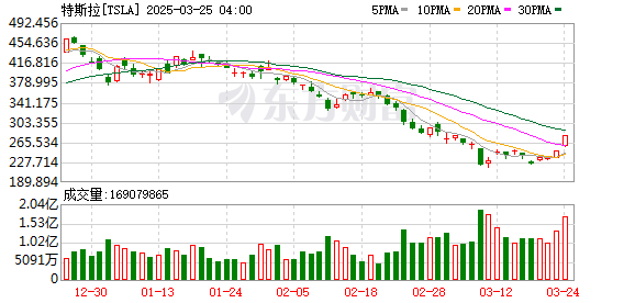 K图 TSLA_0