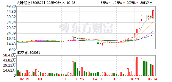 K图 300879_0