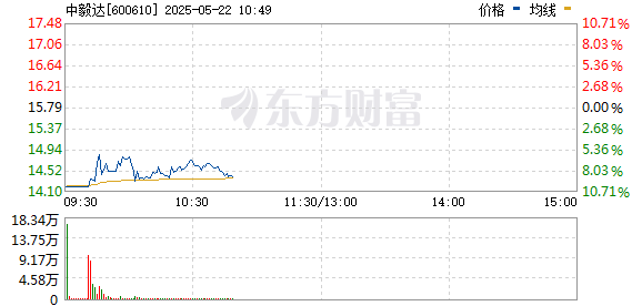 R图 600610_0