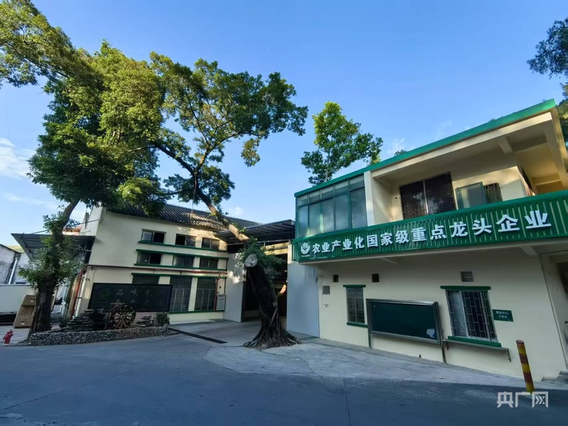 民营经济新观察|扎根“粤”沃土 民企信心足