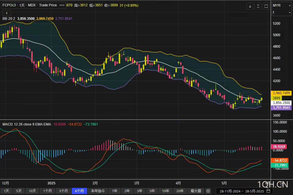 图片点击可在新窗口打开查看