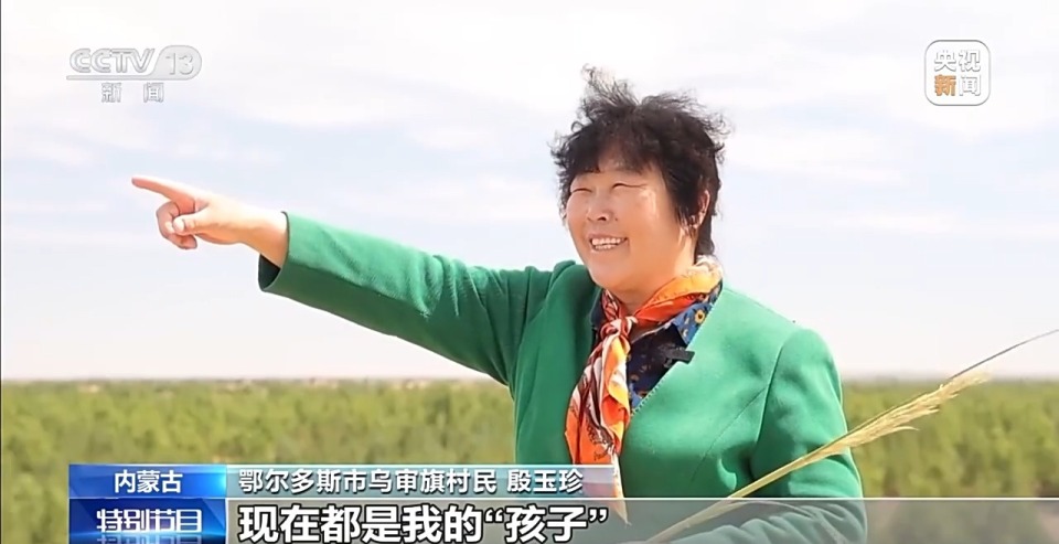 毛乌素沙地治理率已达80% 下一个目标：100%！