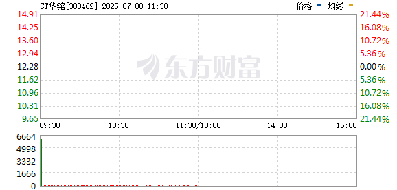 R图 300462_0