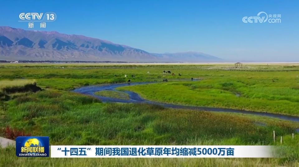 “十四五”期间我国退化草原年均缩减5000万亩