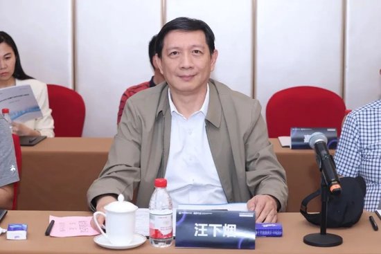 汪下烟
