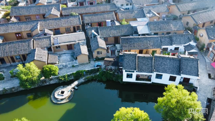 【牢记嘱托·看见美好中国】“红绿”生金 绘就老区新景