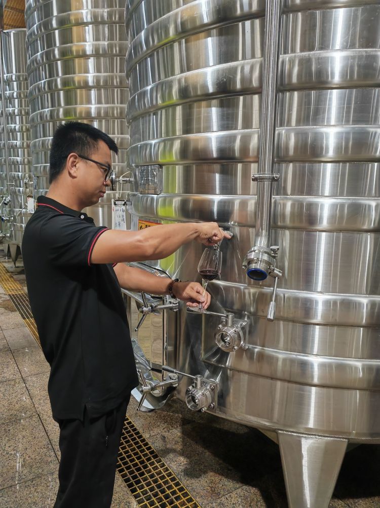 报效祖国 建功西部丨贺兰山下的酿酒师 一年四季都在忙些啥?