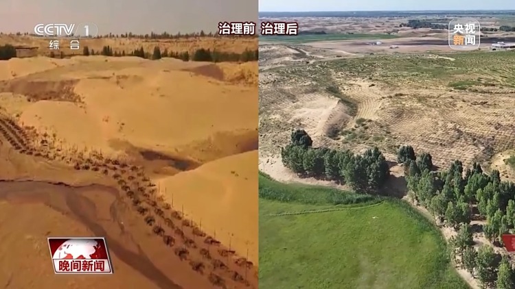 看见美丽中国丨把断流之痛化作生态之美 母亲河生态蜕变向“绿”而行