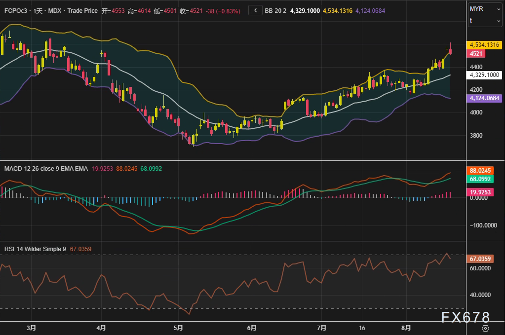 图片点击可在新窗口打开查看