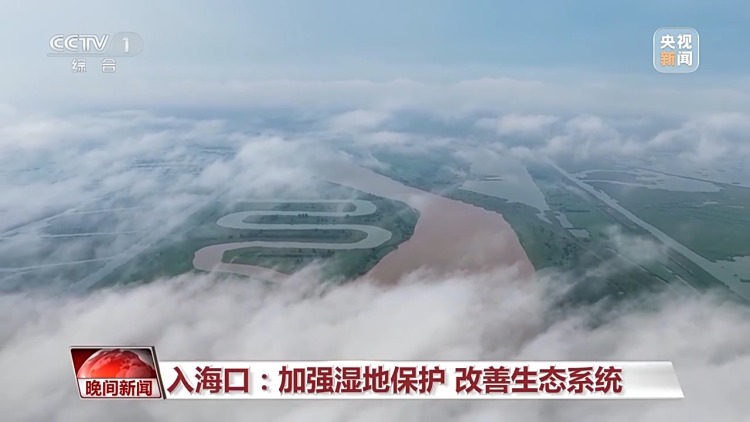 看见美丽中国丨把断流之痛化作生态之美 母亲河生态蜕变向“绿”而行