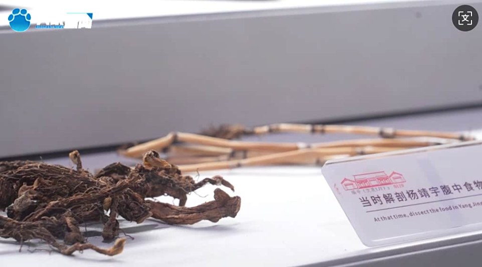 来时路上|我们都投降了,还有中国吗?