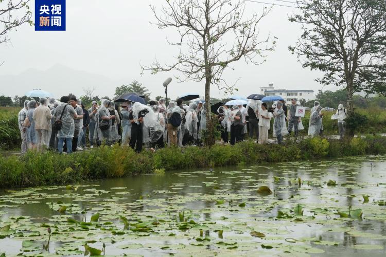 “漫步中国·活力海南”中外媒体系列活动圆满落幕