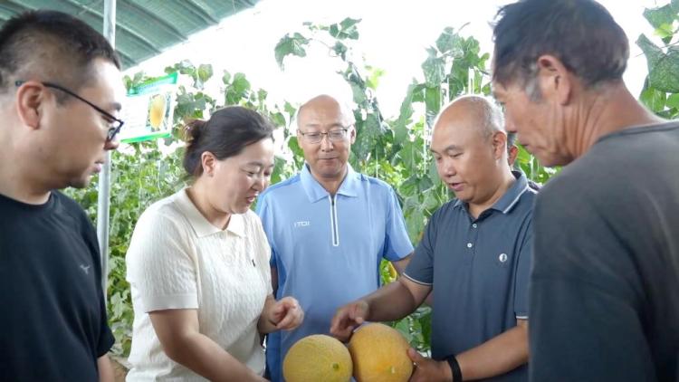 新华视点|科技扎根田野间 多地探索农业高质量发展新路径