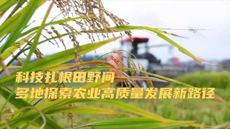 新华视点|科技扎根田野间 多地探索农业高质量发展新路径