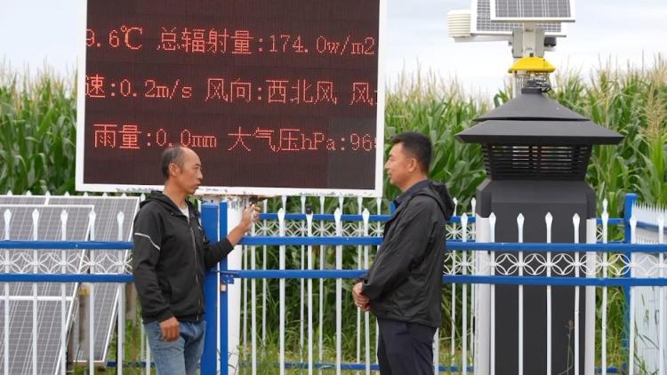 新华视点|科技扎根田野间 多地探索农业高质量发展新路径