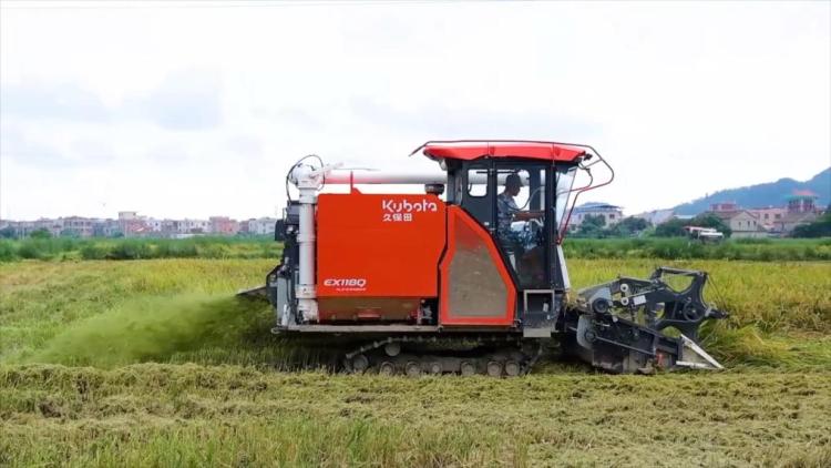 新华视点|科技扎根田野间 多地探索农业高质量发展新路径