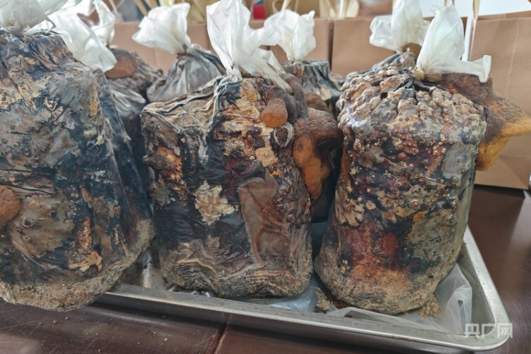 红星照耀中国·千里跃进大别山丨桑蚕进工厂,振兴新“丝”路