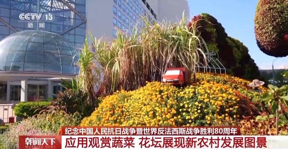 年号台整体亮相!天安门广场布置基本就绪 观礼包设计细节满满