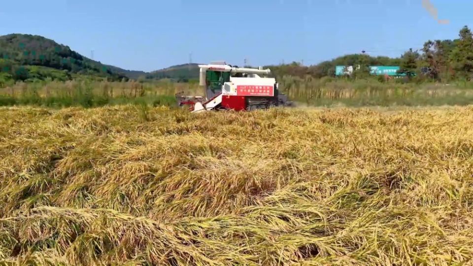 新华视点|各地多维度发力 多元探索绘就乡村振兴新画卷_fororder_14地通