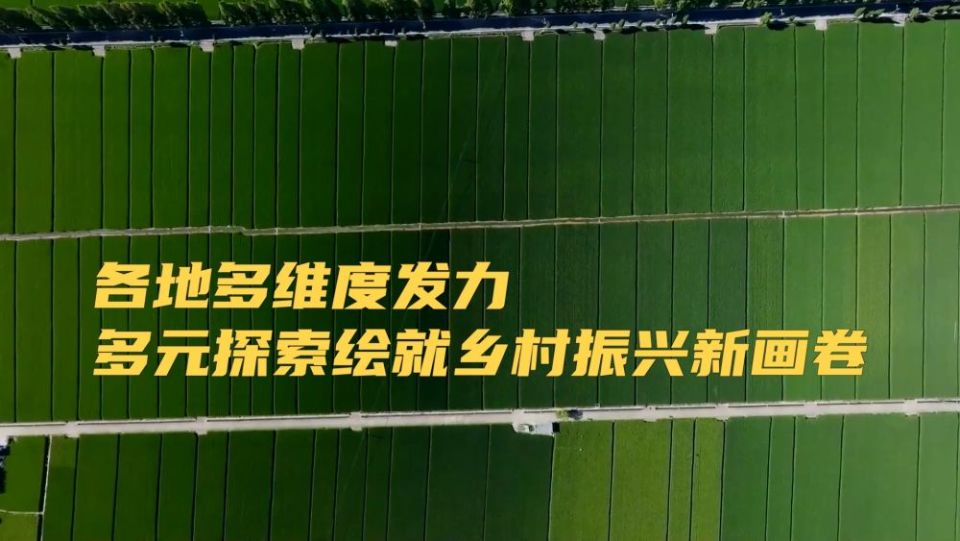 新华视点|各地多维度发力 多元探索绘就乡村振兴新画卷_fororder_16