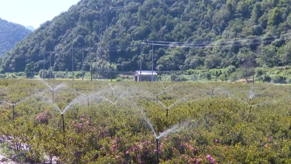 新华视点|各地多维度发力 多元探索绘就乡村振兴新画卷_fororder_5点燃