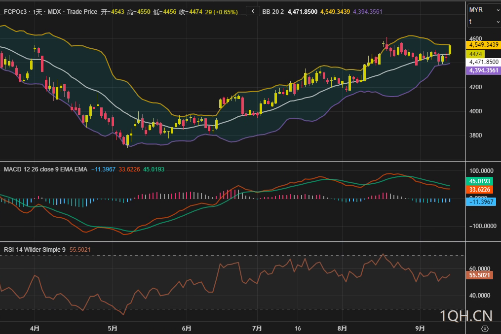 图片点击可在新窗口打开查看