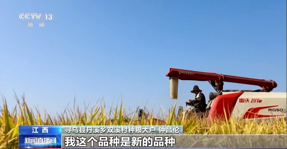 万亩凤堰古梯田迎丰收 秋日丰收美景已上线!