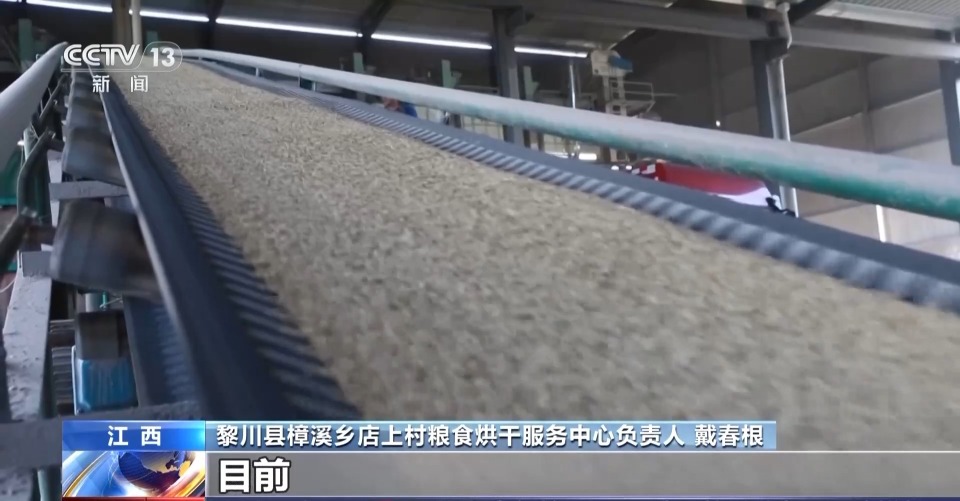 万亩凤堰古梯田迎丰收 秋日丰收美景已上线!
