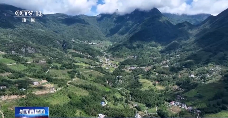 万亩凤堰古梯田迎丰收 秋日丰收美景已上线!