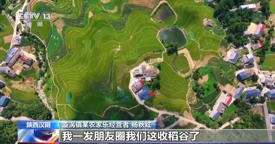 万亩凤堰古梯田迎丰收 秋日丰收美景已上线!