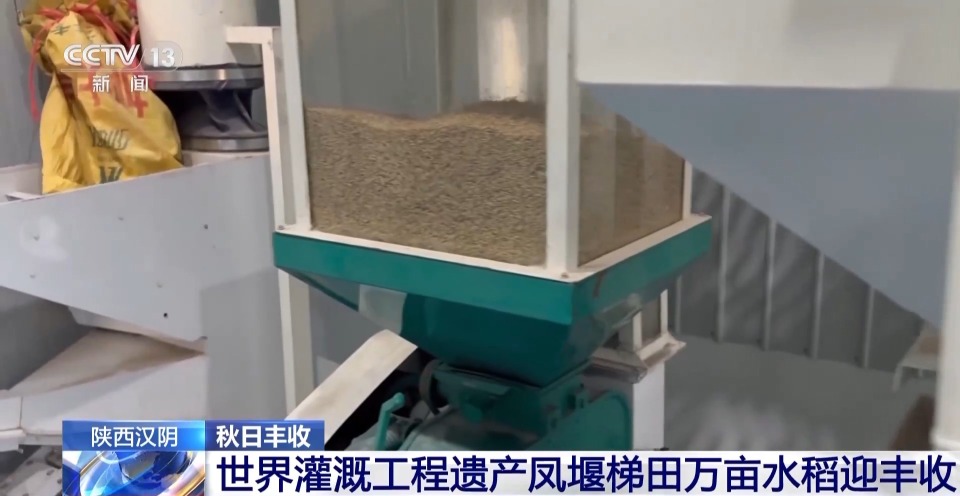 万亩凤堰古梯田迎丰收 秋日丰收美景已上线!