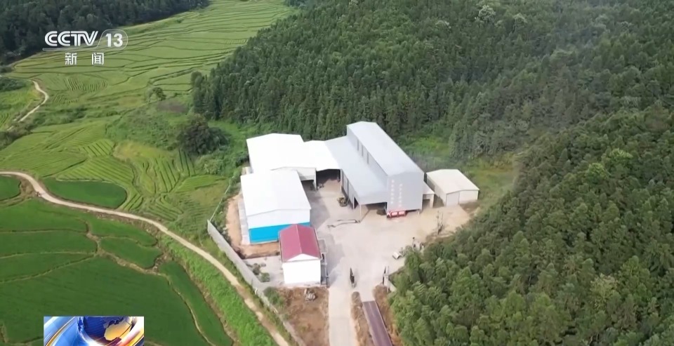 万亩凤堰古梯田迎丰收 秋日丰收美景已上线!