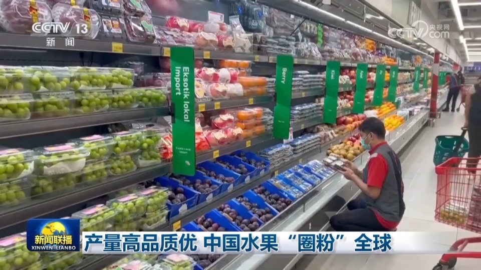 秋粮丰收、水果出海、民航新高:多维数据凸显中国经济韧性与活力