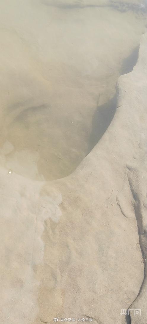 陈斐发布在群内的淘金图