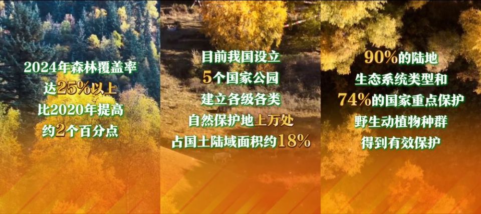 新发展理念看变化|绿色发展享自然