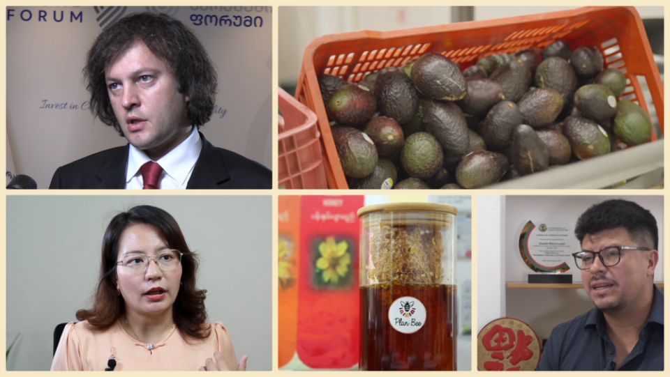 微视频｜开放惠全球