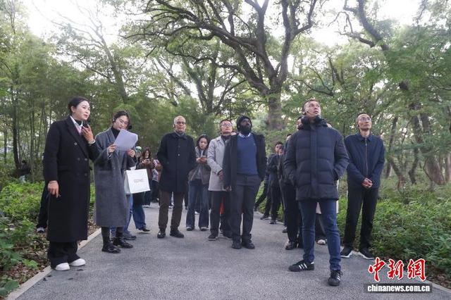 图为中外嘉宾在流坑古村外的千年古樟树林参观，了解生态环境保护情况。中新社记者 刘力鑫 摄