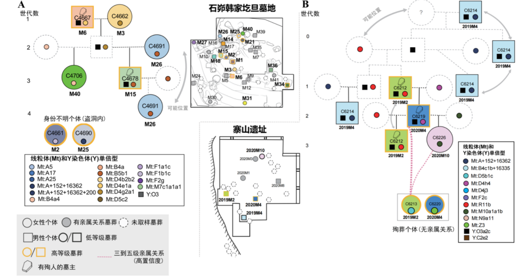 石峁韩家圪旦墓地和寨山遗址重建家族谱系示意图及对应墓葬位置