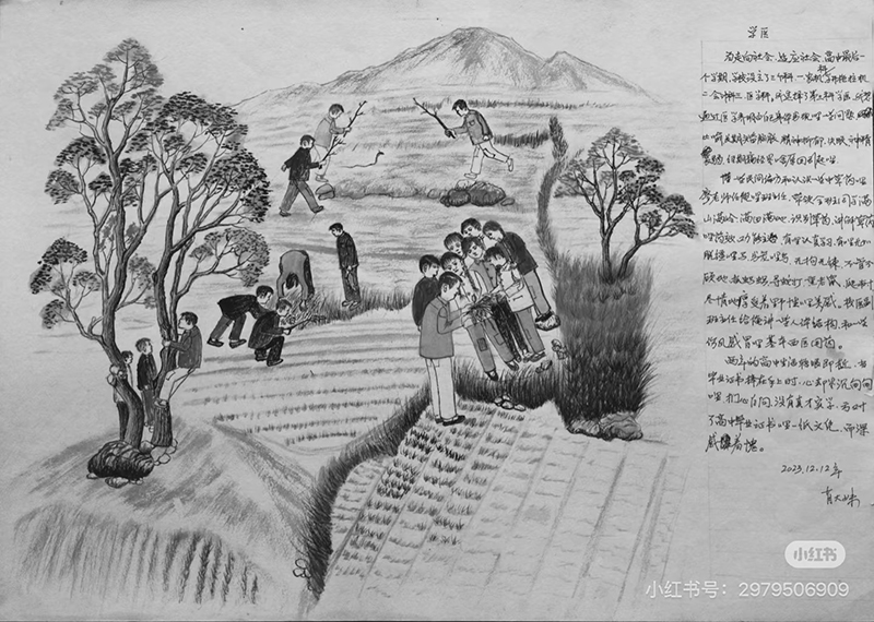 肖凤玉的自传画《学医》