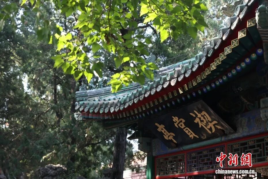 资料图：故宫“乾隆花园”景色，图为禊赏亭。中新社记者 蒋启明 摄
