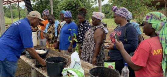 图注：罗斯贝尔金矿（RGM）联合本地果蔬供应商面向金矿社区农民开展可持续农业项目