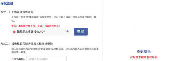 （杭州莱安会计师事务所出具的“图鲲丽水”审计报告的查验结果）