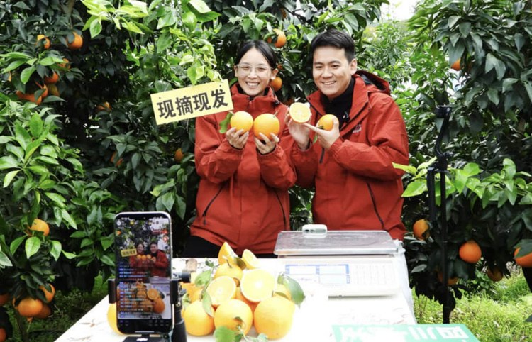 好评中国丨城乡双向奔赴 民生扎根结果