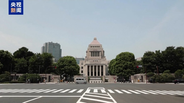 视频丨日本律师：日本政府扩军举动违背宪法