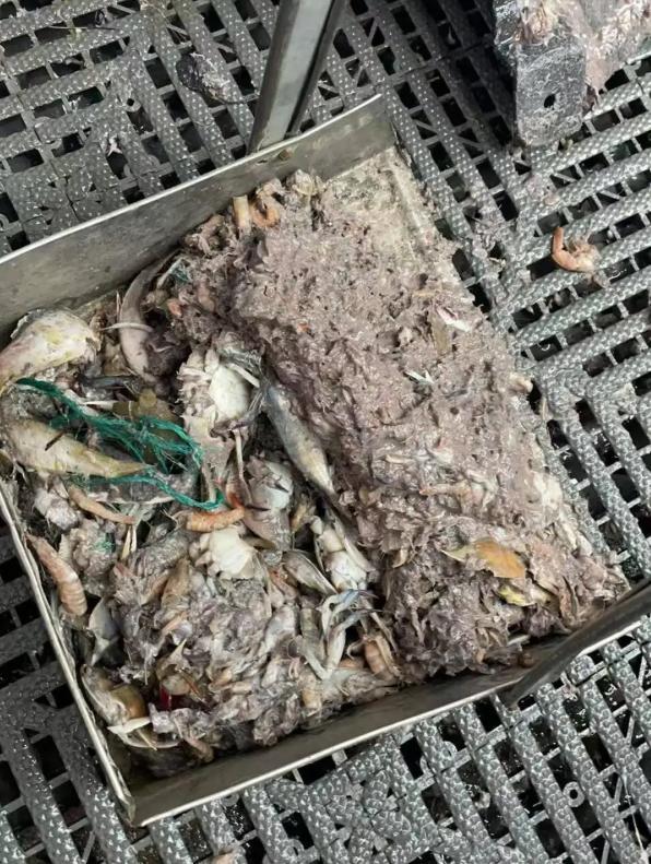 维权群内车主发送的清理出的海鲜废料图片