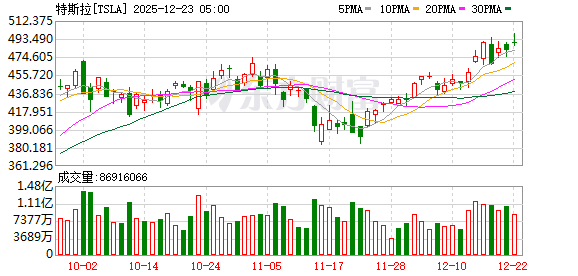 K图 TSLA_0